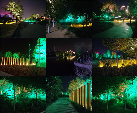 园林灯光照明设计：用室外灯光照明让树木景观充满活力