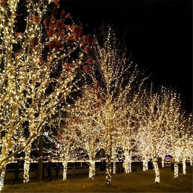 树木亮化用LED灯串的效果